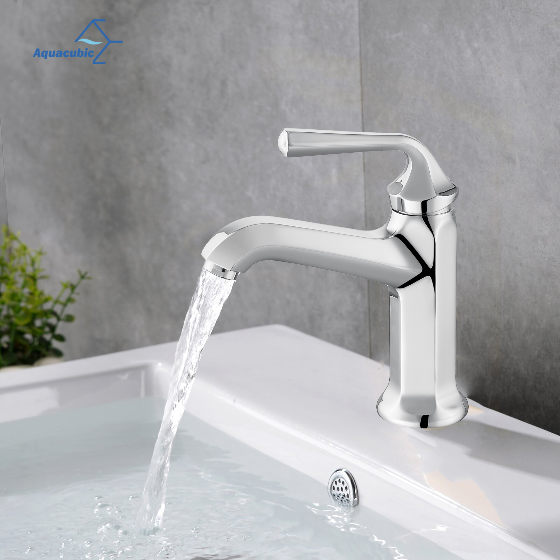 Salle_de_bain_&agrave;_trou_single